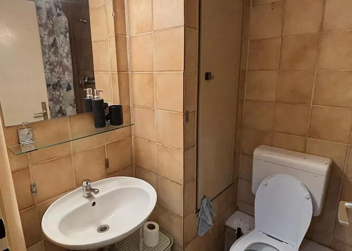 Selena 公寓 贝尔格莱德