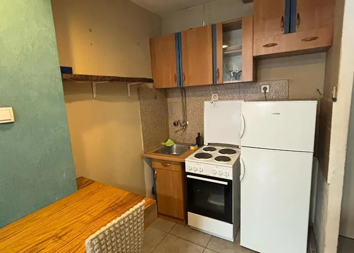 Apartment Selena Belgrade